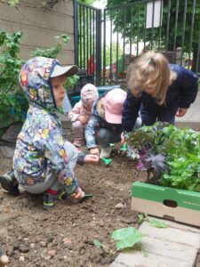 Prace w ogródku doświadczalno – obserwacyjnym – Biedronki