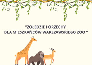 ZBIERAMY ŻOŁĘDZIE I ORZECHY DLA ZWIERZĄT Z WARSZAWSKIEGO ZOO