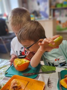 Read more about the article Zabawa badawcza „Nasiona, nasionka” – Podróżnicy