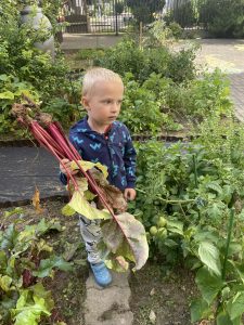 Read more about the article Odkrywcy i ogródek doświadczalno-obserwacyjny