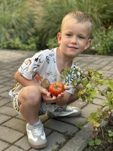 Read more about the article Zbiór warzyw- Tropiciele