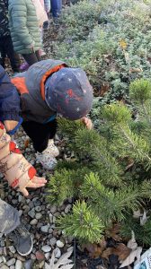 Read more about the article Odkrywcy i ogródek sensoryczny