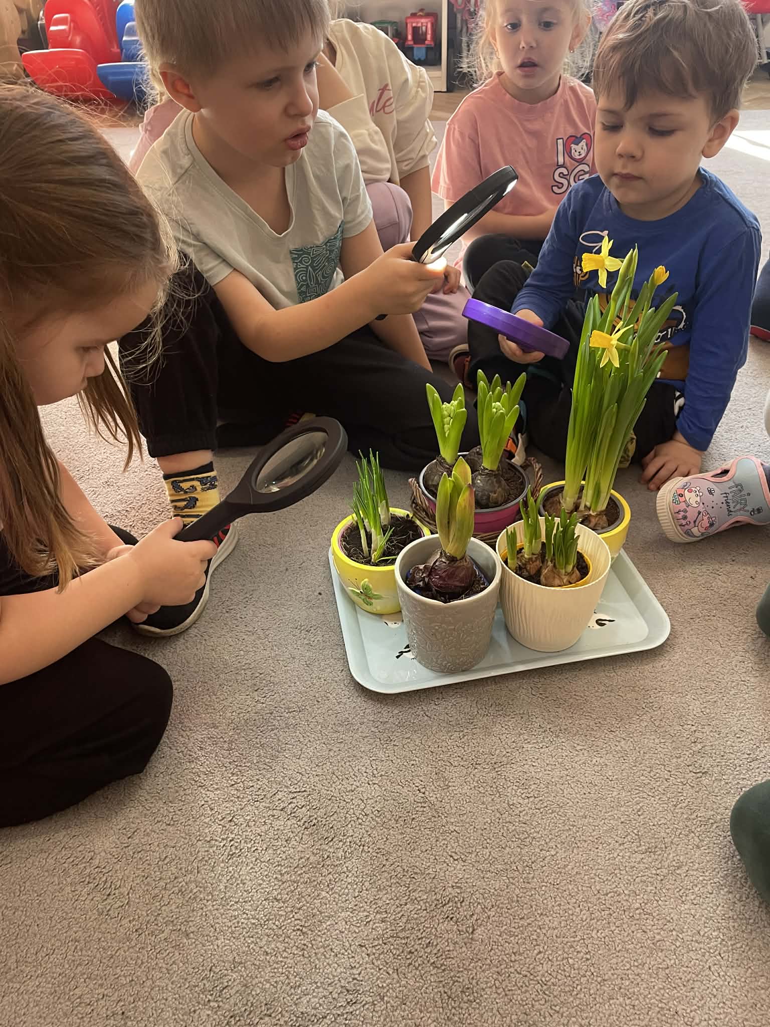 You are currently viewing Projekt „Ogródek na parapecie” – Odkrywcy